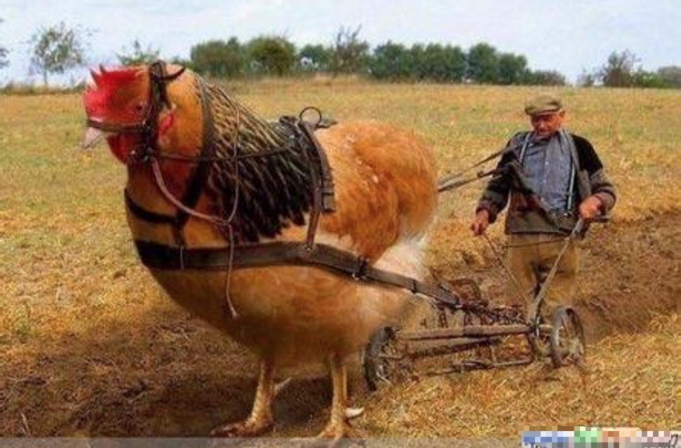 秒殺滴滴！迪拜推出了“無人機的士”，可直接“打飛機”上下班！