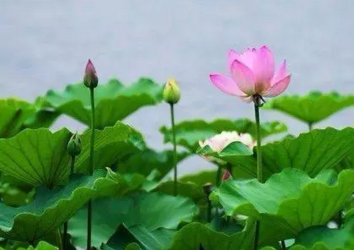 巧妙備戰(zhàn)雙11，自從換上這個頭像，各種資源都來了……