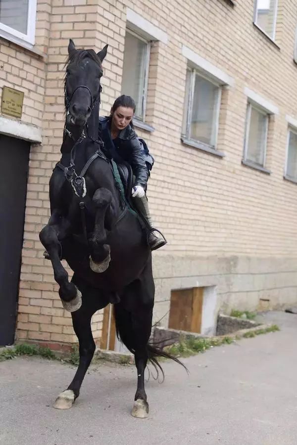 C店也能天貓出海，快上船！